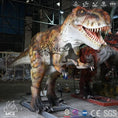 Load image into Gallery viewer, MCSDINO Animatronic Dinosaur Provide Customized Services. Made to order 5-6 weeks production Juvenile Tyrannosaurus Rex Animatronic Dinosaur-MCST002