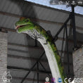 Load image into Gallery viewer, MCSDINO Animatronic Dinosaur Provide Customized Services. Made to order 5-6 weeks production Life Size 12m Animatronic Brachiosaurus Model-MCSB004
