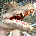 Load image into Gallery viewer, MCSDINO Animatronic Dinosaur Realistic Spinosaurus Dinosaur Models For Sale-MCSS007