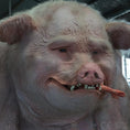 Bild in Galerie-Betrachter laden, MCSDINO Bespoke Animatronics Giant Pig Prop Animatronic Pigman Escape Room-FM011