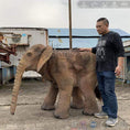 Cargar la imagen en la vista de la galería, MCSDINO Creature Suits Baby Elephant Prop Halloween Costume-DCEP004