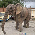 Load image into Gallery viewer, MCSDINO Creature Suits Halloween Costume Elderly Brown Elephant Costume-DCEP002
