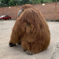 Load image into Gallery viewer, MCSDINO Creature Suits Life-size Animatronic Orangutan Costume-DCOR001