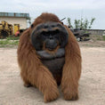 Load image into Gallery viewer, MCSDINO Creature Suits Life-size Animatronic Orangutan Costume-DCOR001