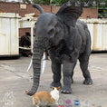 Load image into Gallery viewer, MCSDINO Creature Suits Lifelike 2 Person Elephant Mascot Costume-DCEP001
