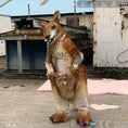 Load image into Gallery viewer, MCSDINO Creature Suits Realistic Animatronic Kangaroo Costume-DCKG001