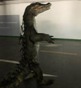 Load image into Gallery viewer, MCSDINO Creature Suits Realistic Crocodile Costume for TV Reality Show-DCCC001