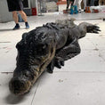 Load image into Gallery viewer, MCSDINO Creature Suits Realistic Crocodile Costume for TV Reality Show-DCCC001