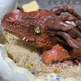 Carica l'immagine nel visualizzatore della galleria, MCSDINO Egg and Puppet Animated Hatching Fire Dragon Egg-BB049