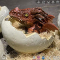 Carica l'immagine nel visualizzatore della galleria, MCSDINO Egg and Puppet Animated Hatching Fire Dragon Egg-BB049