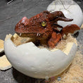 Carica l'immagine nel visualizzatore della galleria, MCSDINO Egg and Puppet Animated Hatching Fire Dragon Egg-BB049