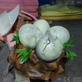 Load image into Gallery viewer, MCSDINO Egg and Puppet Animatronic Dinosaur Nest Jurassic World party-BB064
