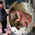 Bild in Galerie-Betrachter laden, MCSDINO Egg and Puppet Animatronic Parasaurolophus Dinosaur Egg-BB062