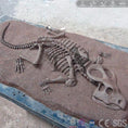 Load image into Gallery viewer, MCSDINO Other Dinosaur Series Dinosaur Skeleton Decoration On Wall-OTD013