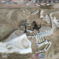 Load image into Gallery viewer, MCSDINO Other Dinosaur Series Dinosaur Skeleton Decoration On Wall-OTD013