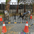 Cargar la imagen en la vista de la galería, MCSDINO Other Dinosaur Series Dinosaurs Raptors Trapped In The Cage-OTD012