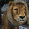 Carica l'immagine nel visualizzatore della galleria, MCSDINO Robotic Beasts Handcrafted Robot Cave Lion Model
