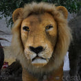 Carica l'immagine nel visualizzatore della galleria, MCSDINO Robotic Beasts Handcrafted Robot Cave Lion Model