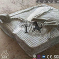 Bild in Galerie-Betrachter laden, MCSDINO Skeleton Fossil Replica Agilisaurus Dinosaur Fossil Replica-SKR025