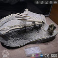 Bild in Galerie-Betrachter laden, MCSDINO Skeleton Fossil Replica Agilisaurus Dinosaur Fossil Replica-SKR025