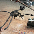 Bild in Galerie-Betrachter laden, MCSDINO Skeleton Fossil Replica Dinosaur Fossil Replica For Sale Pteranodon-SKR016
