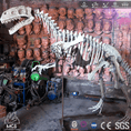Load image into Gallery viewer, MCSDINO Skeleton Fossil Replica Dinosaur Reproduction Deinonychus Fossil Replica-SKR014