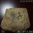Load image into Gallery viewer, MCSDINO Skeleton Fossil Replica Giant Bee Insect Replica For Sale-SKR030