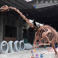 Load image into Gallery viewer, Lufengosaurus Replica Cast Skeleton Fossil -SKL004 - mcsdino