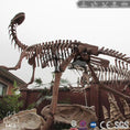 Load image into Gallery viewer, MCSDINO Skeleton Fossil Replica Lufengosaurus Replica Cast Skeleton Fossil -SKR021