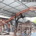 Load image into Gallery viewer, MCSDINO Skeleton Fossil Replica Mamenchisaurus Skeleton Fossil Replica Bone Skeleton-SKR018