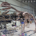 Load image into Gallery viewer, MCSDINO Skeleton Fossil Replica Monolophosaurus Dinosaur Fossil Replica Casts For Sale-SKR001