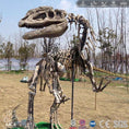 Load image into Gallery viewer, MCSDINO Skeleton Fossil Replica Monolophosaurus Dinosaur Fossil Replica Casts For Sale-SKR001