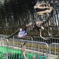 Load image into Gallery viewer, MCSDINO Skeleton Fossil Replica Monolophosaurus Dinosaur Fossil Replica Casts For Sale-SKR001