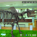 Load image into Gallery viewer, MCSDINO Skeleton Fossil Replica Prehistoric Life Elasmotherium Skeleton Fossil Replica-SKR011