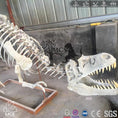 Bild in Galerie-Betrachter laden, MCSDINO Skeleton Fossil Replica T-Rex Specimen Skeleton Fossil Replica-SKR020