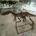 Bild in Galerie-Betrachter laden, Mcsdinosaur Skeleton Fossil Replica Dinosaur Velociraptor Skeleton Fossil Replica Bone-SKR008
