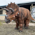 Load image into Gallery viewer, triceratops costume dinosaur parade-mcsdino