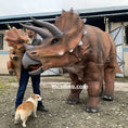 Load image into Gallery viewer, triceratops costume dinosaur parade-mcsdino
