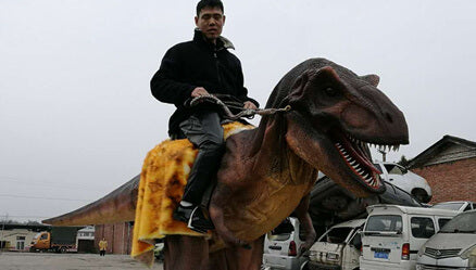 Cowboy Riding T Rex YI WANG Cowboy Riding T-Rex Walking Dinosaur Costume Unleash! %article ...