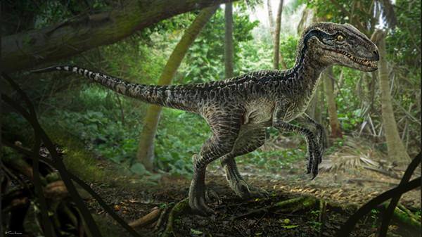 AN ADVENTURE DINO-SUIT PRODUCTION- MEET YOUR FANTASY AGAINST RAPTOR BLUE