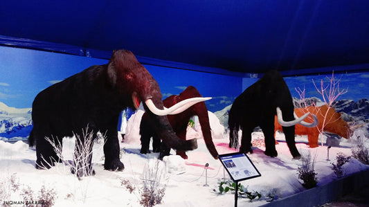 Build Ice Age Animals Robots Exhibition Displays