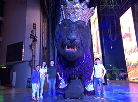 mcsdino team at yading code muscial 