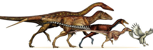 THE EVOLUTION OF REAL WALKING DINOSAUR COSTUMES