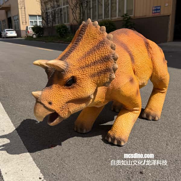 Triceratops shell For Robert Dog-MCSRTR34