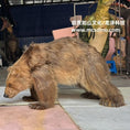Bild in Galerie-Betrachter laden, Animal Suits Brown Bear Costume-DCSB002
