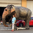 Load image into Gallery viewer, Animatronic Asian Elephant Model-MAA002
