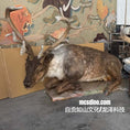 Load image into Gallery viewer, Taxidermy deer in a room with colorful wall art and furniture.

