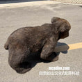 Bild in Galerie-Betrachter laden, Bear Sleeve For Robort Dog
