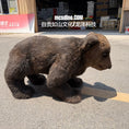 Bild in Galerie-Betrachter laden, Bear Sleeve For Robort Dog
