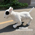 Load image into Gallery viewer, A white plush bull dog toy with black eye patches, standing on an asphalt road outdoors with green plants in the background. A watermark is visible at the bottom right.
